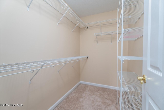 walk in closet featuring light colored carpet