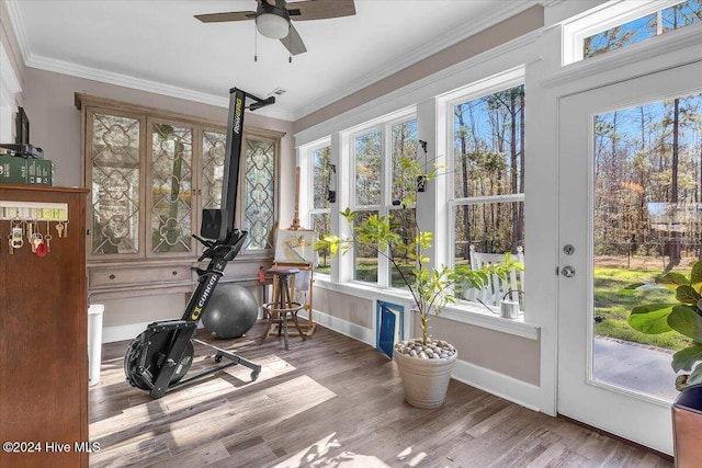 workout area featuring wood-type flooring, ceiling fan, and crown molding