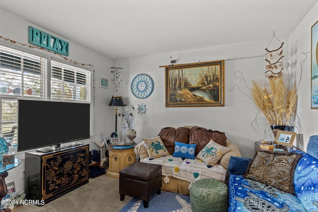 151 Hoop Pole Creek Dr Unit E & W, Atlantic Beach, NC 28512 - view of carpeted living room