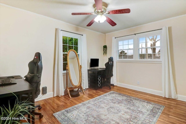 office with wood-type flooring, ceiling fan, and crown molding