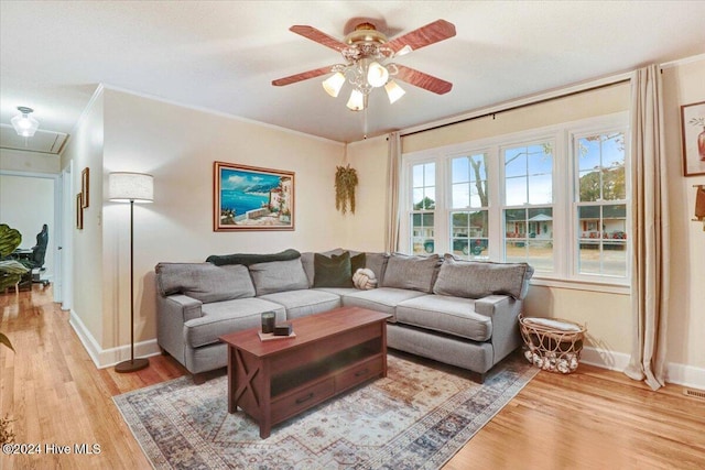 living room featuring ceiling fan, light wood-type flooring, and crown molding