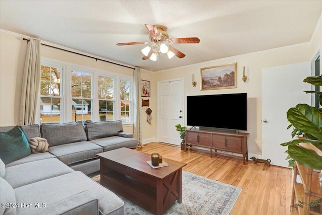 living room featuring ceiling fan, crown molding, and wood-type flooring