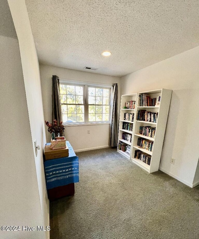 living area with carpet and a textured ceiling