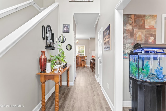 corridor featuring hardwood / wood-style floors and ornamental molding