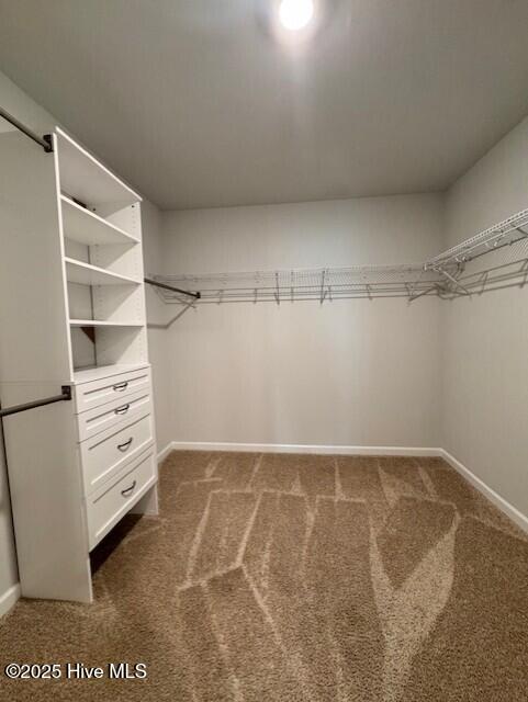 walk in closet with dark carpet