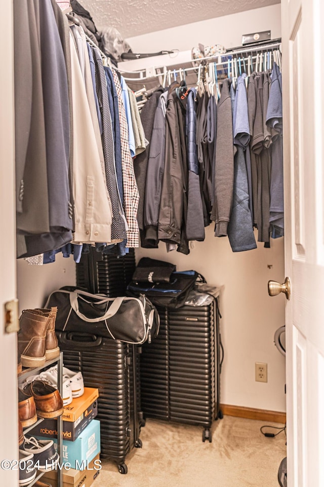 spacious closet with light colored carpet