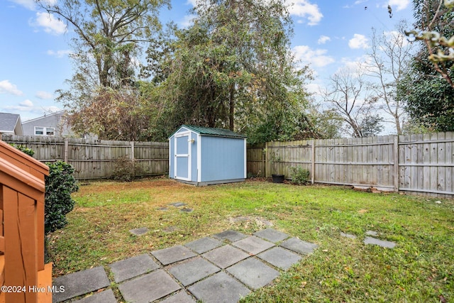 view of yard with a storage shed