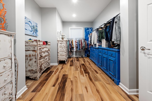 spacious closet with light wood-type flooring