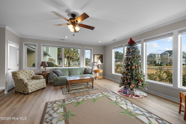 living room featuring crown molding, ceiling fan, and light wood-type flooring