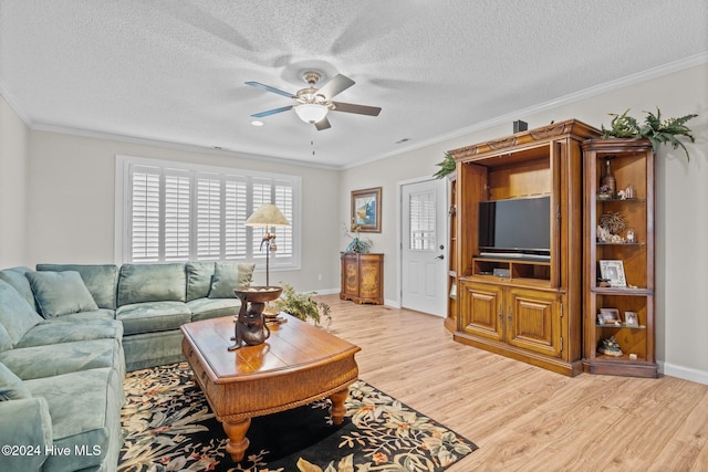 living room featuring ornamental molding, a textured ceiling, and light wood-type flooring