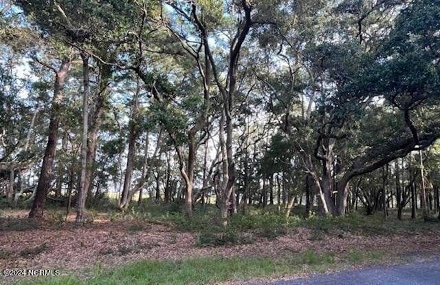 5 Windy Point Rd SW, Supply NC, 28462 land for sale