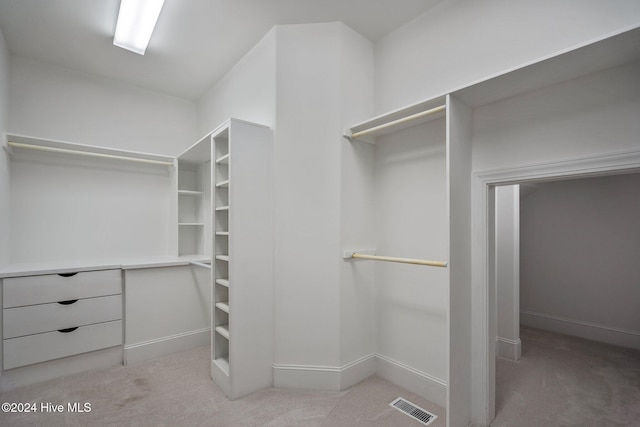 spacious closet featuring light colored carpet