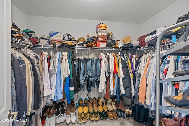 spacious closet with carpet