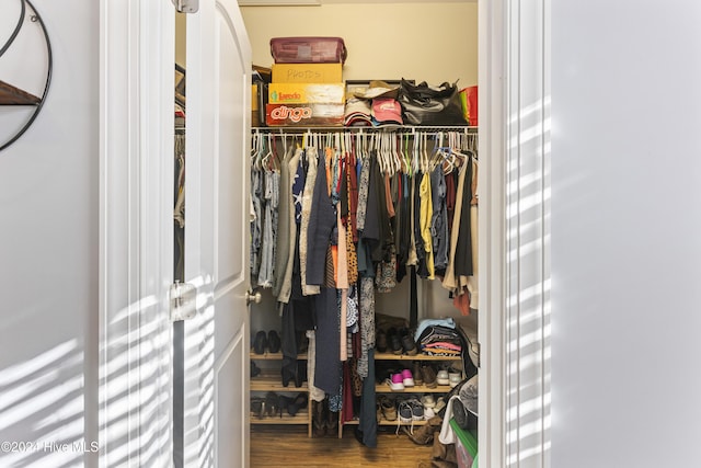 spacious closet with wood-type flooring