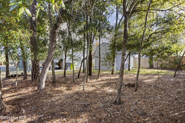 view of yard featuring an outdoor structure