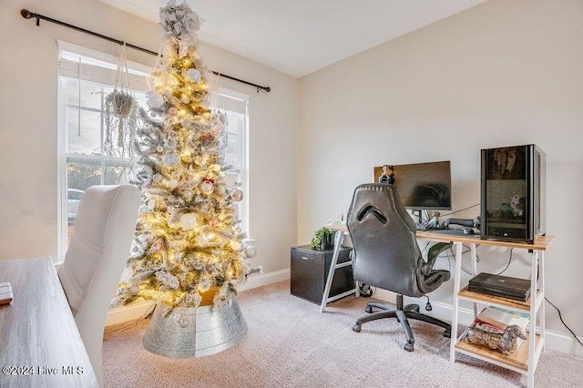 office space featuring carpet floors and a wealth of natural light