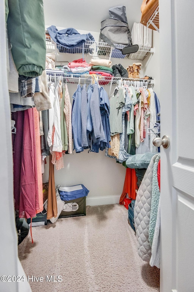 walk in closet with carpet