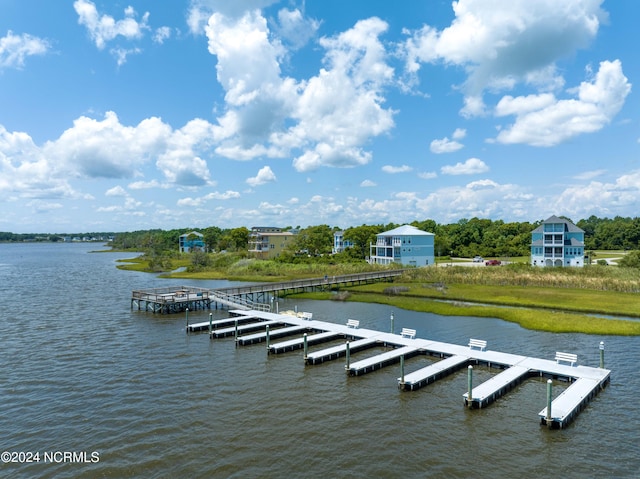 dock area with a water view