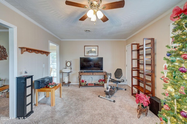 exercise room with ceiling fan, carpet floors, and ornamental molding