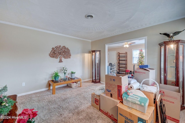 interior space featuring carpet flooring, a textured ceiling, and ornamental molding