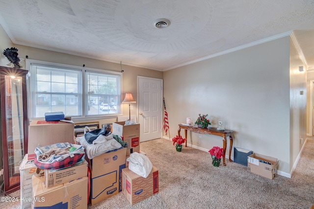 interior space with light colored carpet, ornamental molding, and a textured ceiling