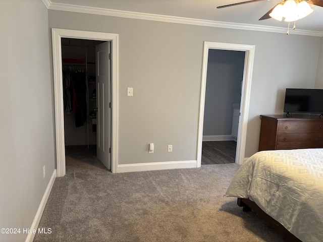 bedroom featuring crown molding, a walk in closet, carpet flooring, a closet, and ceiling fan