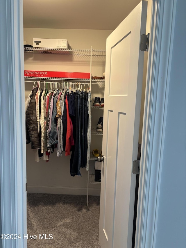 spacious closet with carpet floors