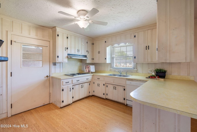 kitchen featuring white dishwasher, sink, light hardwood / wood-style flooring, and a textured ceiling