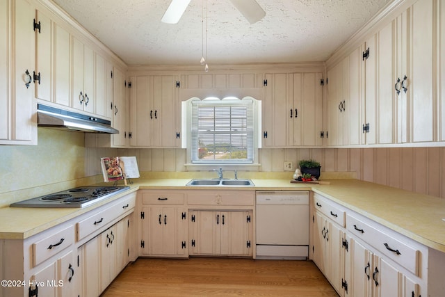 kitchen with sink, stainless steel stovetop, light hardwood / wood-style flooring, a textured ceiling, and white dishwasher