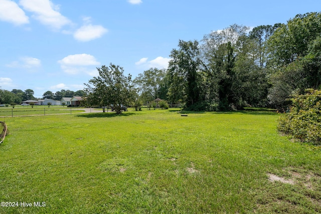 view of yard featuring a rural view