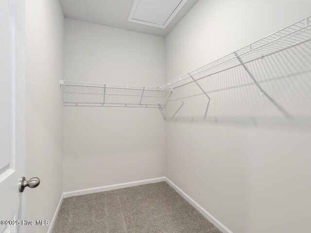 194 N Atlantic Ave Lot 128, Wilmington, NC 28411 - walk in closet featuring carpet flooring