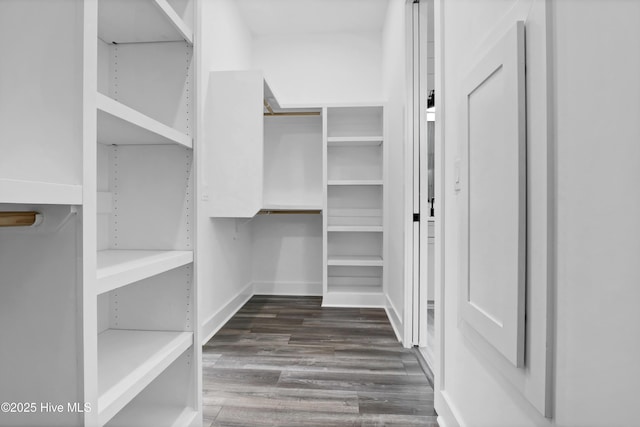 spacious closet featuring dark hardwood / wood-style flooring