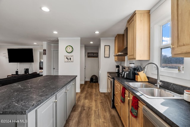 kitchen featuring sink, crown molding, dark hardwood / wood-style flooring, and stainless steel appliances