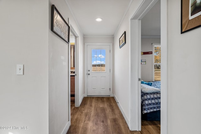 hallway featuring hardwood / wood-style flooring and crown molding