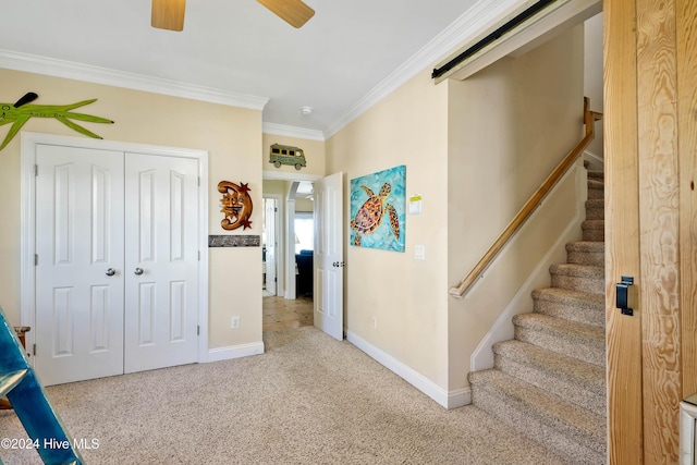 interior space with ornamental molding, a closet, ceiling fan, a barn door, and carpet