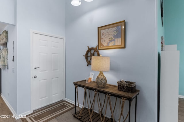 foyer with dark hardwood / wood-style flooring