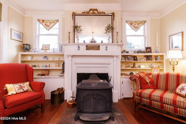 living area with dark hardwood / wood-style flooring, a wood stove, and a wealth of natural light