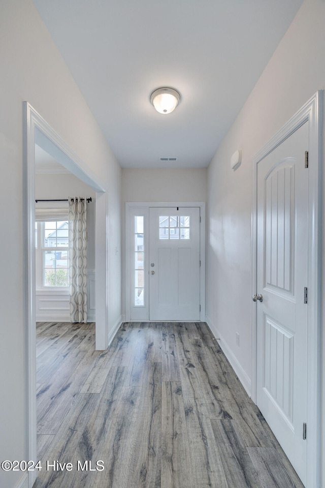 foyer with light hardwood / wood-style flooring and a wealth of natural light