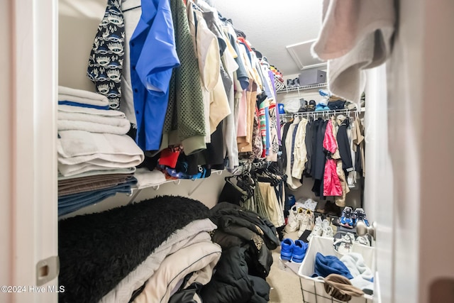 spacious closet with carpet flooring