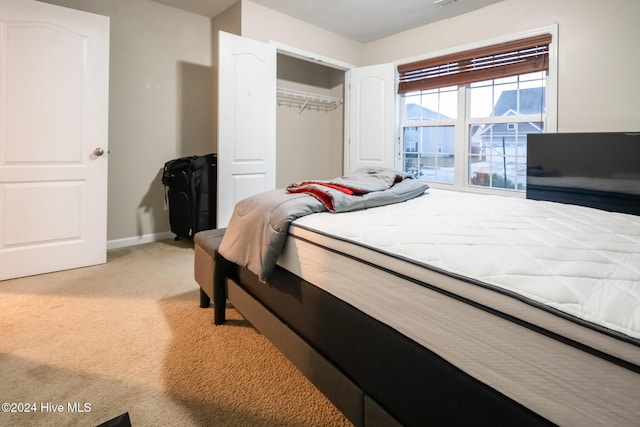 bedroom featuring carpet floors and a closet