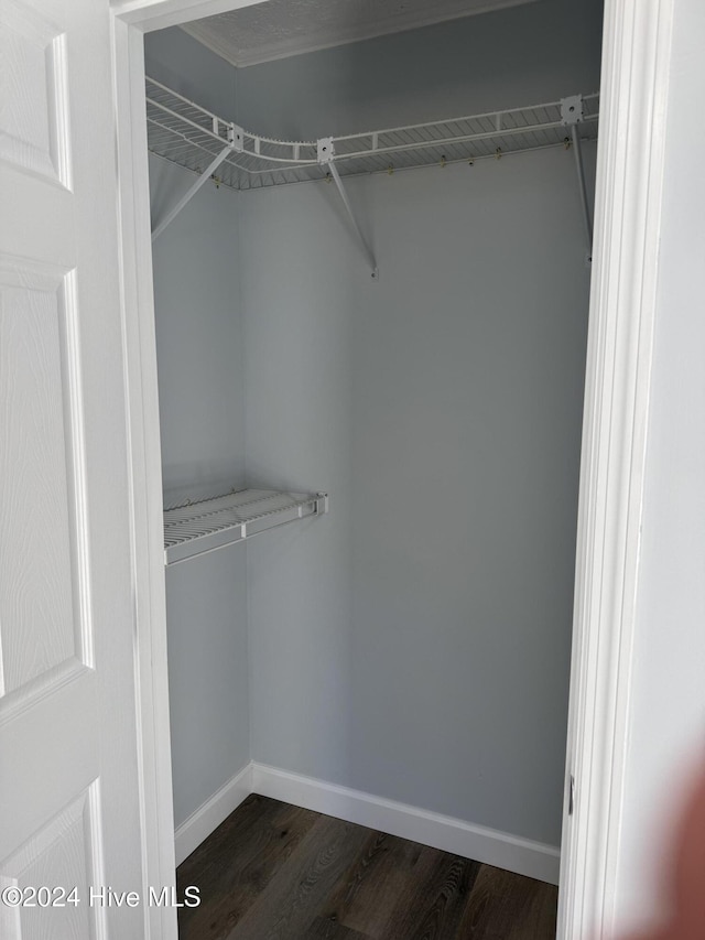 spacious closet with dark hardwood / wood-style flooring