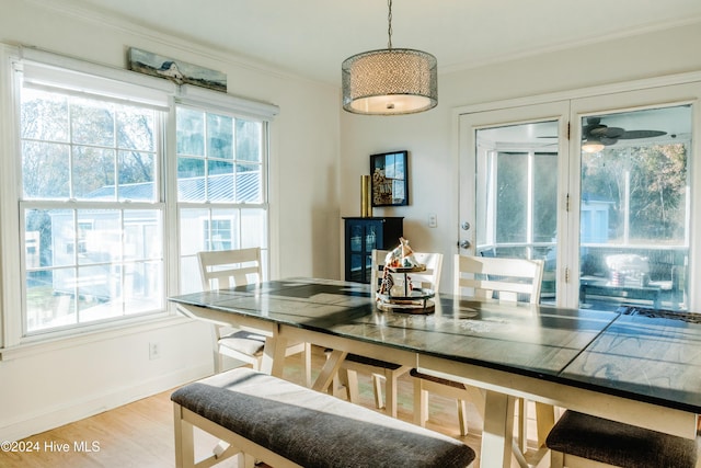 dining room with a healthy amount of sunlight, light hardwood / wood-style floors, crown molding, and wine cooler