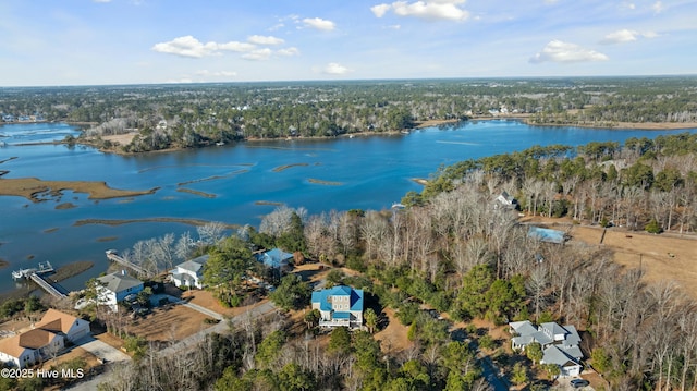 bird's eye view with a water view and a forest view