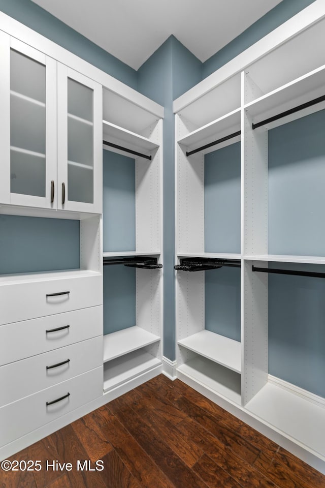 spacious closet with dark wood finished floors