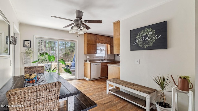 dining area featuring light wood finished floors and a ceiling fan