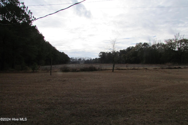 view of yard with a rural view