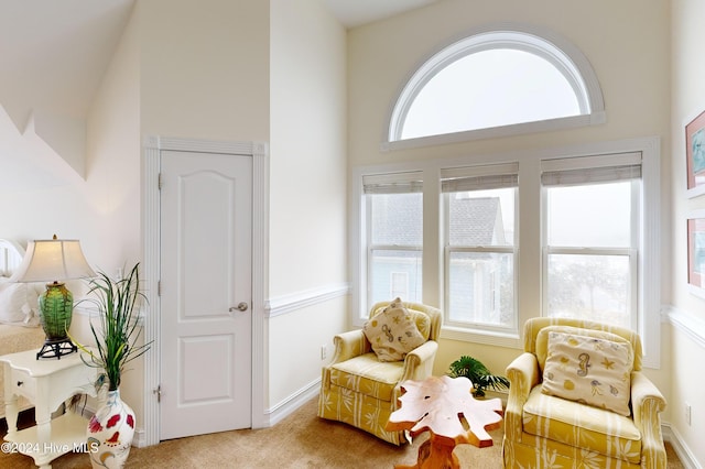 sitting room with light colored carpet and a high ceiling