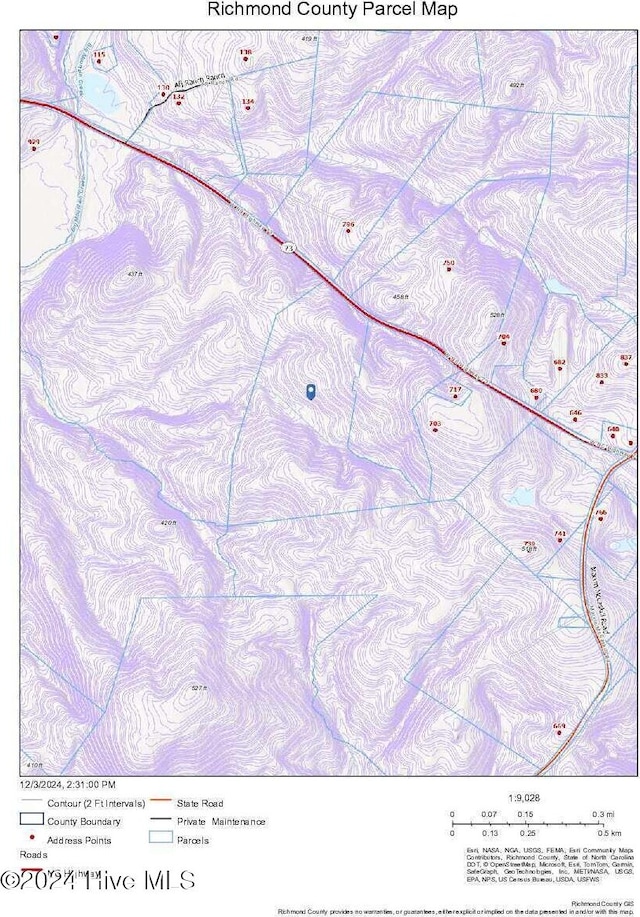 Listing photo 3 for Tbd NC Highway 73, Ellerbe NC 28338