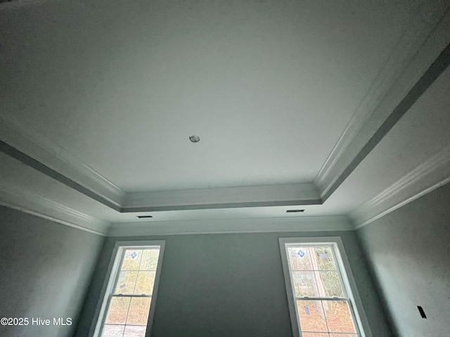 interior details with ornamental molding and a raised ceiling