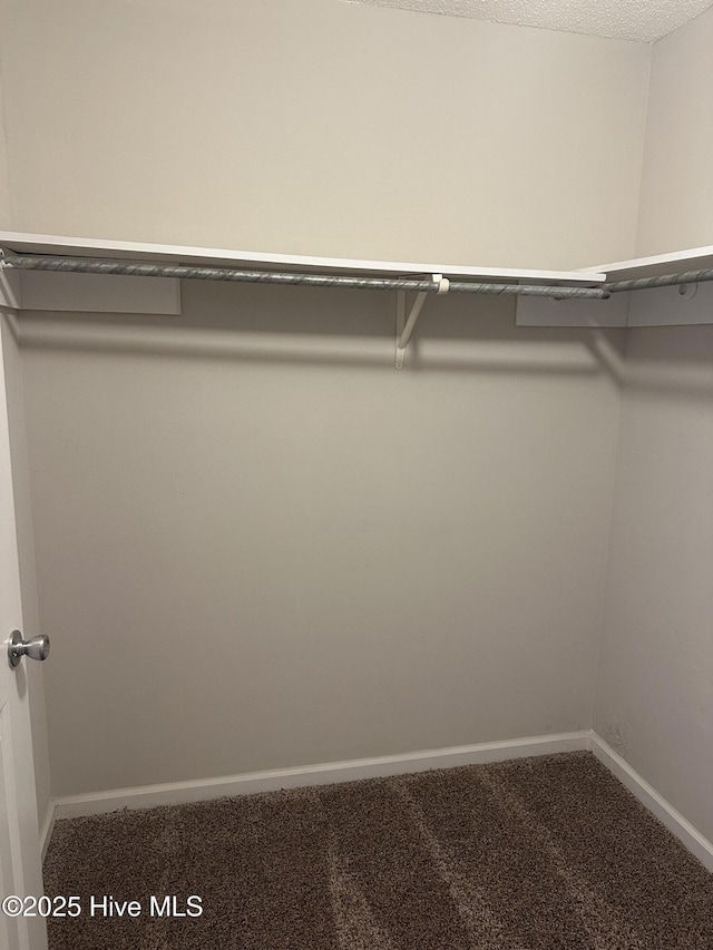 spacious closet featuring carpet floors